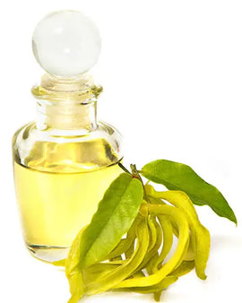 Olejek eteryczny Ylang-ylang, 10 ml